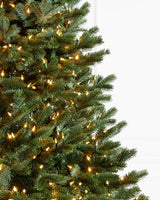 Árvore de Natal Abeto Fraser Imperial - Imagem 7