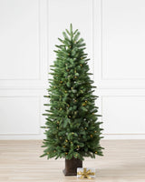 Mini Árvore de Natal Artificial 90 cm com Vaso e Luzes LED Quentes - Imagem 1