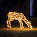 Conjunto de 8 renas iluminadas Studley Rattan - Imagem 6