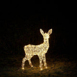 Rena Iluminada Luz Branca - Imagem 7