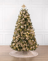 Árvore de Natal Abeto Fraser Imperial - Imagem 4