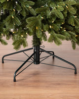 Árvore de Natal Abeto Fraser Imperial - Imagem 5