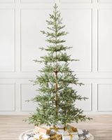 Árvore de Natal Abeto Balsâmico Alpino - Imagem 1