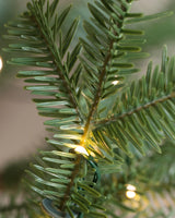 Árvore de Natal Abeto Balsâmico Alpino - Imagem 5