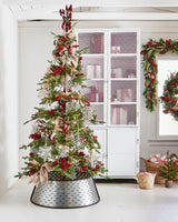 Árvore de Natal Abeto Balsâmico Alpino - Imagem 6