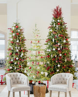 Árvore de Natal Abeto Balsâmico Alpino - Imagem 7