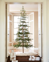 Árvore de Natal Abeto Balsâmico Alpino - Imagem 8