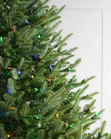 Árvore de Natal Abeto Balsâmico Imperial - Imagem 3