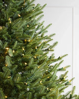 Árvore de Natal Abeto Balsâmico Imperial - Imagem 4