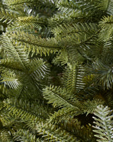 Árvore de Natal Abeto Balsâmico Imperial - Imagem 5