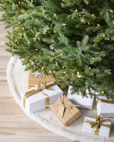 Árvore de Natal Abeto Balsâmico Imperial - Imagem 8