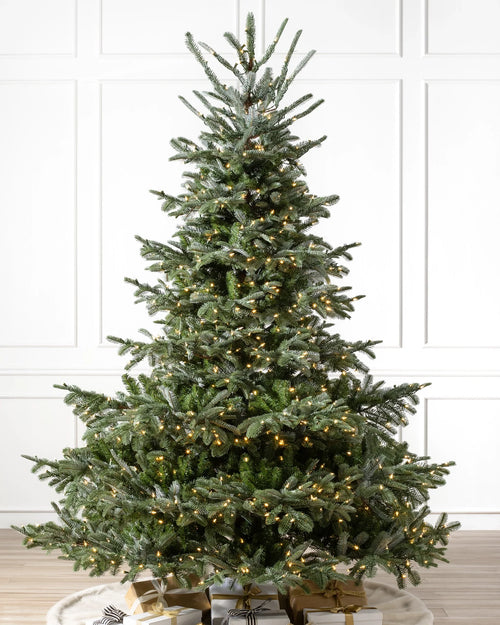 Árvore de Natal Abeto Europeu