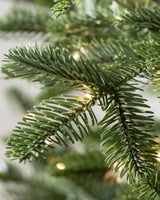 Árvore de Natal Abeto Europeu - Imagem 5