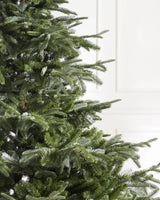 Árvore de Natal Abeto Europeu - Imagem 6