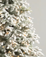 Árvore de Natal Abeto Fraser Nevado - Imagem 3