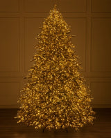 Árvore de Natal Abeto Golden Aspen Estate - Imagem 5
