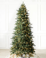 Árvore de Natal Abeto Montanha Berkshire - Imagem 1