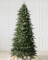 Árvore de Natal Abeto Montanha Berkshire - Imagem 3