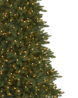Árvore de Natal Abeto Montanha Berkshire - Imagem 5