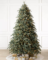 Árvore de Natal Abeto Nobre - Imagem 1