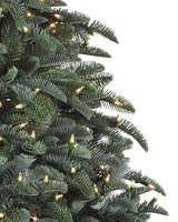 Árvore de Natal Abeto Nobre - Imagem 4