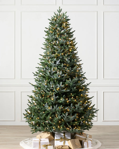 Árvore de Natal Abeto Prateado Europeu