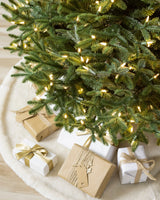 Árvore de Natal Abeto Prateado Europeu - Imagem 5