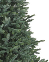 Árvore de Natal Abeto Prateado Europeu - Imagem 6