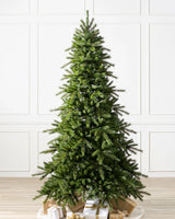 Árvore de Natal Grande Abeto Norueguês - Imagem 2