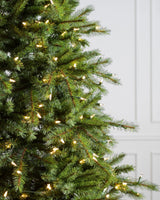 Árvore de Natal Grande Abeto Norueguês - Imagem 3