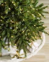 Árvore de Natal Grande Abeto Norueguês - Imagem 4