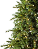 Árvore de Natal Grande Abeto Norueguês - Imagem 8