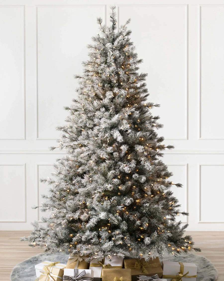 Árvore de Natal Pinheiro Açucarado Nevado