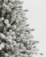 Árvore de Natal Pinheiro Açucarado Nevado - Imagem 3