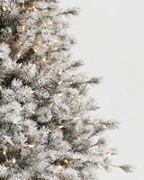 Árvore de Natal Pinheiro Açucarado Nevado - Imagem 4