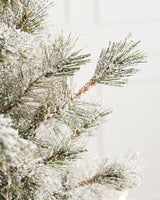 Árvore de Natal Pinheiro Açucarado Nevado - Imagem 5