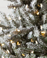 Árvore de Natal Pinheiro Azul Clássico Nevado - Imagem 3