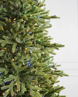 Árvore de Natal Pinheiro Norueguês - Imagem 3