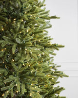 Árvore de Natal Pinheiro Norueguês - Imagem 4