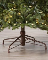 Árvore de Natal Pinheiro Norueguês - Imagem 7