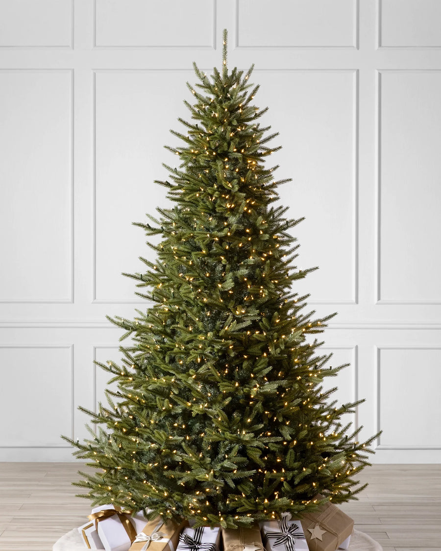 Árvore de Natal Pinheiro Norueguês do Norte