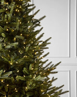 Árvore de Natal Pinheiro Norueguês do Norte - Imagem 2