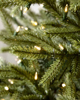 Árvore de Natal Pinheiro Norueguês do Norte - Imagem 3